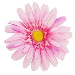 Meet your Posher, Adriana